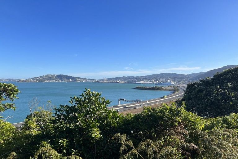 Photo of property in 6 Rangiora Avenue, Kaiwharawhara, Wellington, 6035