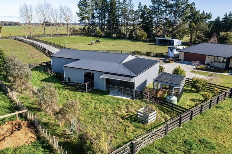 Photo of property in 255 Calico Line, Marton, 4787