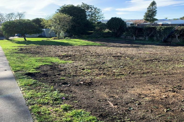 Photo of property in 16 Oxford Street, Tirau, 3410