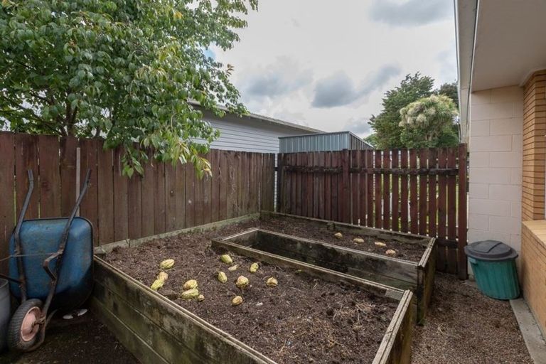 Photo of property in 52d Naylor Street, Hamilton East, Hamilton, 3216