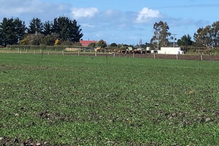 Photo of property in 27 Laings Road, Tinwald, Ashburton, 7775