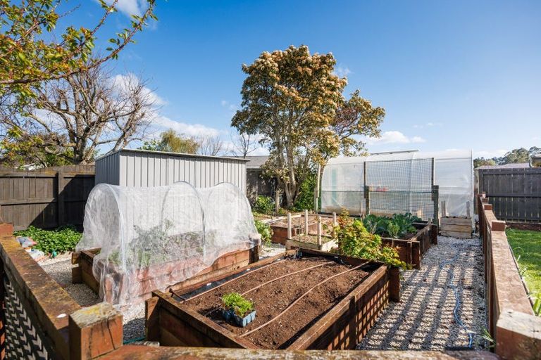 Photo of property in 141 Oxford Street, Ashhurst, 4810