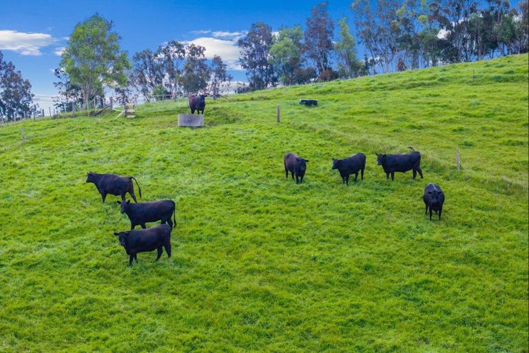 Photo of property in 152a Kokopu Block Road, Maungatapere, Whangarei, 0179