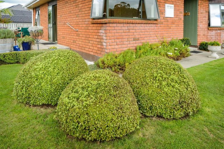 Photo of property in 12 Barnett Drive, Marton, 4710