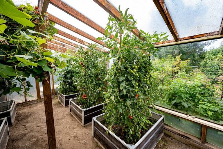 Photo of property in 28 Grove Avenue, Weston, Oamaru, 9401