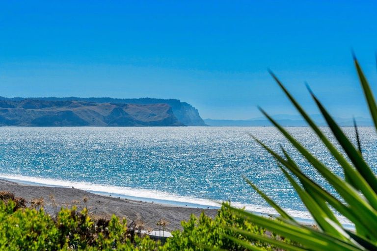 Photo of property in 205 Whirinaki Road, Eskdale, Napier, 4182