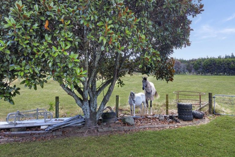 Photo of property in 2537a State Highway 30, Otakiri, Whakatane, 3192