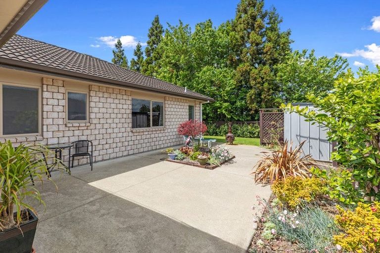 Photo of property in 105 Chater Avenue, Bethlehem, Tauranga, 3110