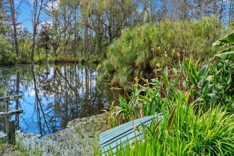 Photo of property in 364 Oneriri Road, Kaiwaka, 0573