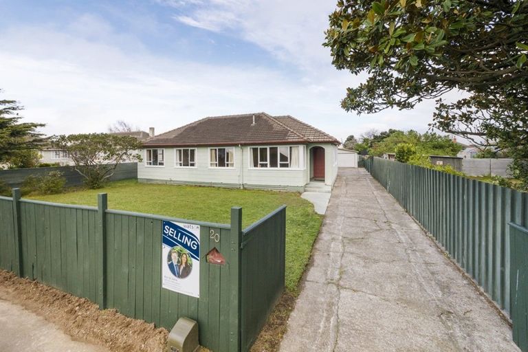 Photo of property in 20 Esk Street, Roslyn, Palmerston North, 4414