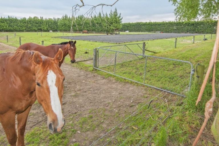 Photo of property in 218 Thomsons Road, Burnham, Christchurch, 7677