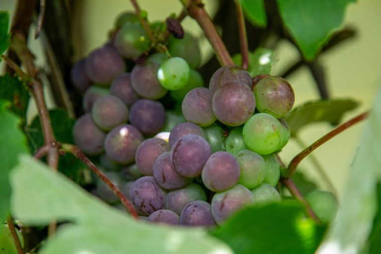 Photo of property in 107 King Street, Cambridge, 3434