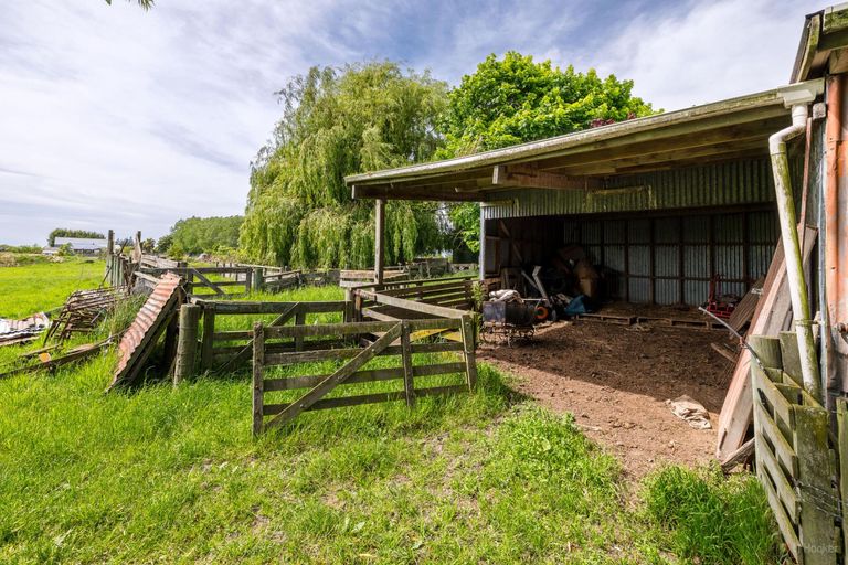 Photo of property in 124 Maytown Road, Waimate, 7978