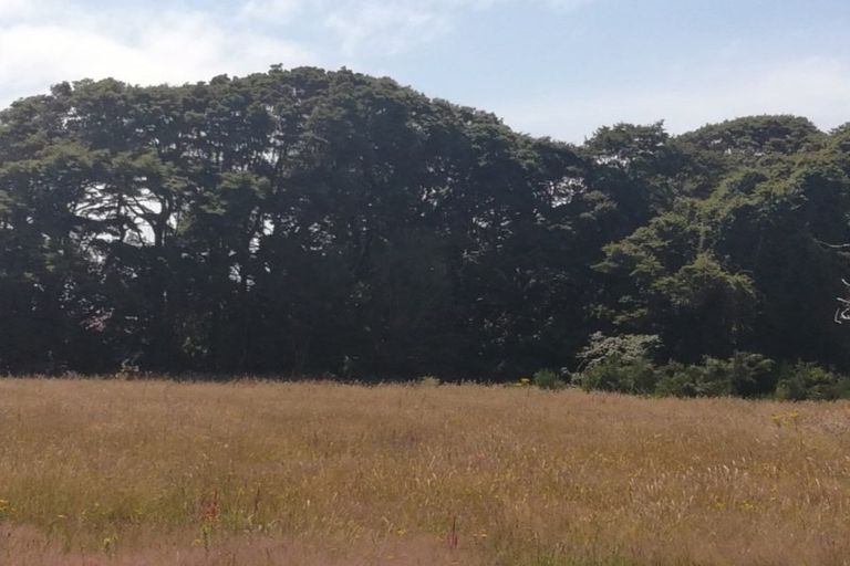 Photo of property in 13 King Street, Tuatapere, 9620