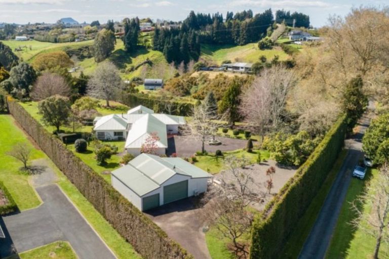 Photo of property in 16 Plane Tree Lane, Tauriko, Tauranga, 3110