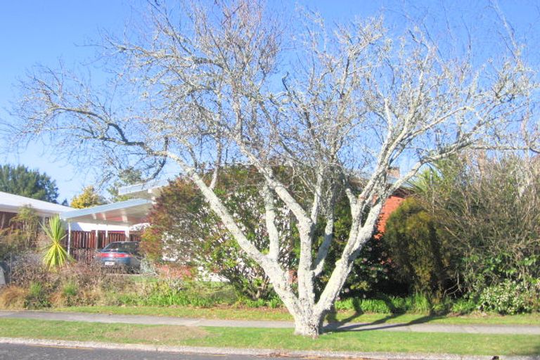 Photo of property in 38 Wake Street, Chartwell, Hamilton, 3210