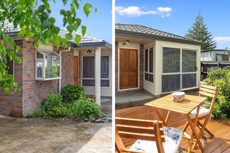 Photo of property in 7a Cornwall Street, Gate Pa, Tauranga, 3112