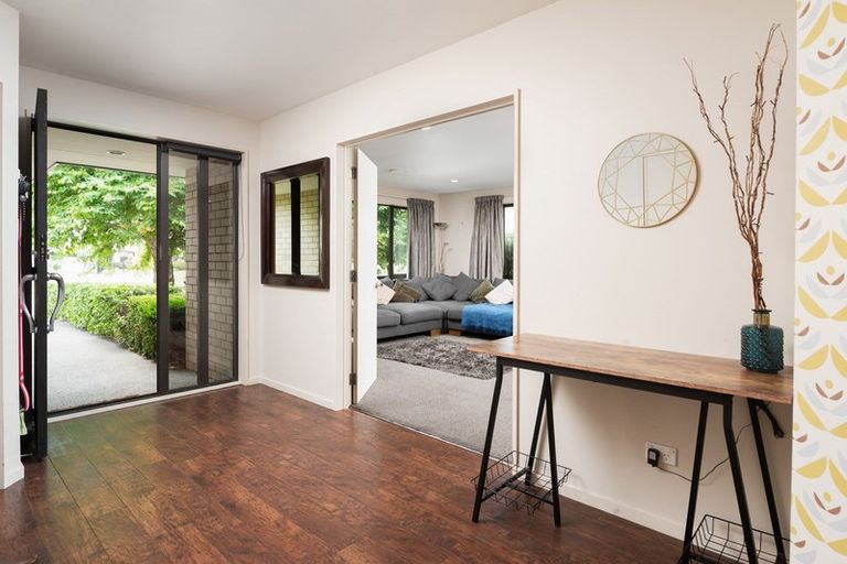 Photo of property in 29 Tremorne Avenue, Blenheim, 7201