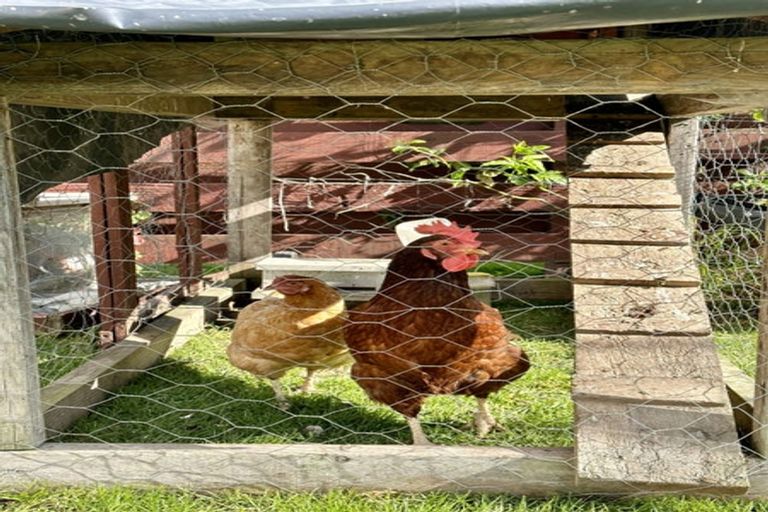 Photo of property in 20 Tawhara Place, Edgecumbe, 3120