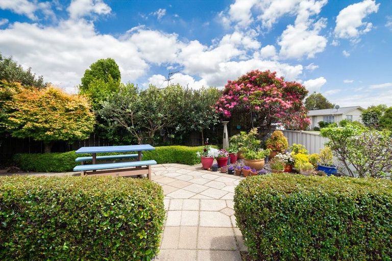 Photo of property in 25a Larch Street, Victoria, Rotorua, 3010