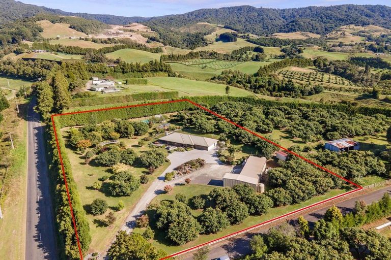 Photo of property in 360 Wharawhara Road, Tahawai, Katikati, 3178