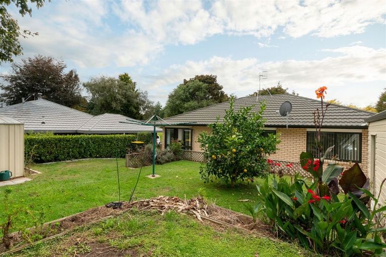 Photo of property in 38 Argyle Avenue, Levin, 5510