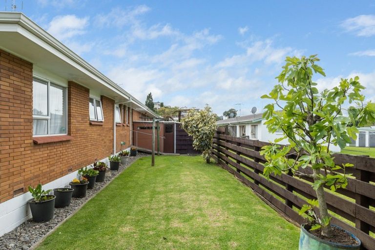 Photo of property in 11b Balmoral Terrace, Otumoetai, Tauranga, 3110