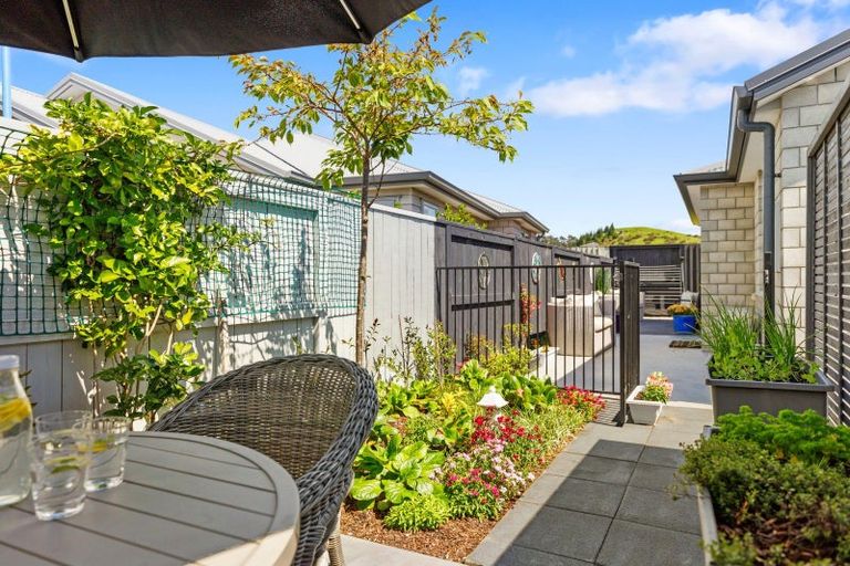 Photo of property in 14 Foley Grove, Pyes Pa, Tauranga, 3110