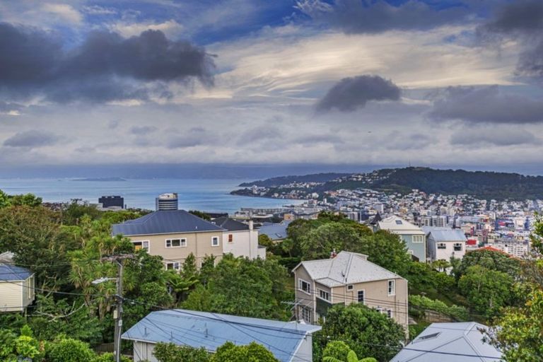 Photo of property in 50 Central Terrace, Kelburn, Wellington, 6012