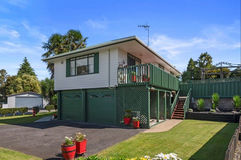 Photo of property in 113a Ngongotaha Road, Ngongotaha, Rotorua, 3010
