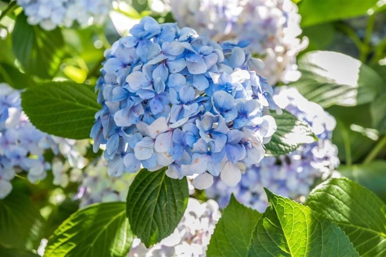 Photo of property in 46 Pekanga Road, Normandale, Lower Hutt, 5010