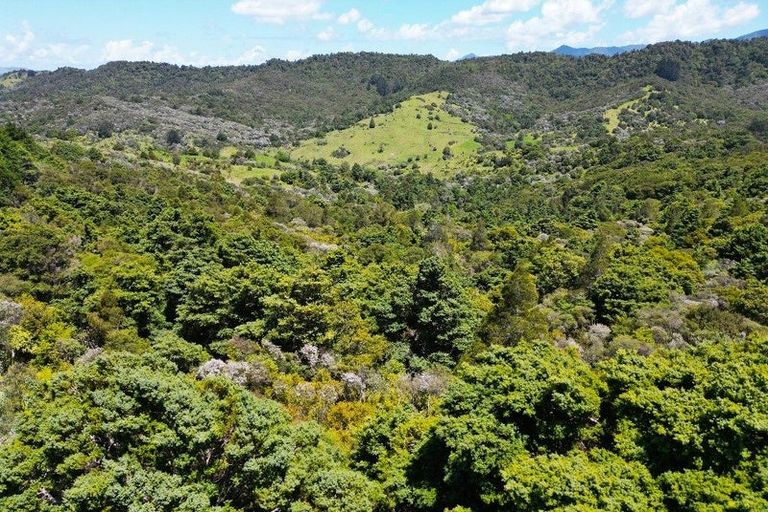 Photo of property in 1340 Paponga Road, Kohukohu, 0491