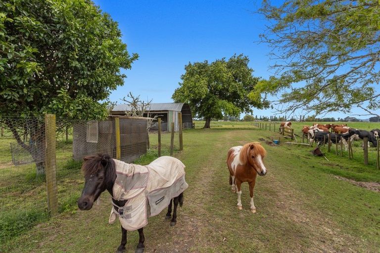 Photo of property in 959 State Highway 30, Awakeri, Whakatane, 3193