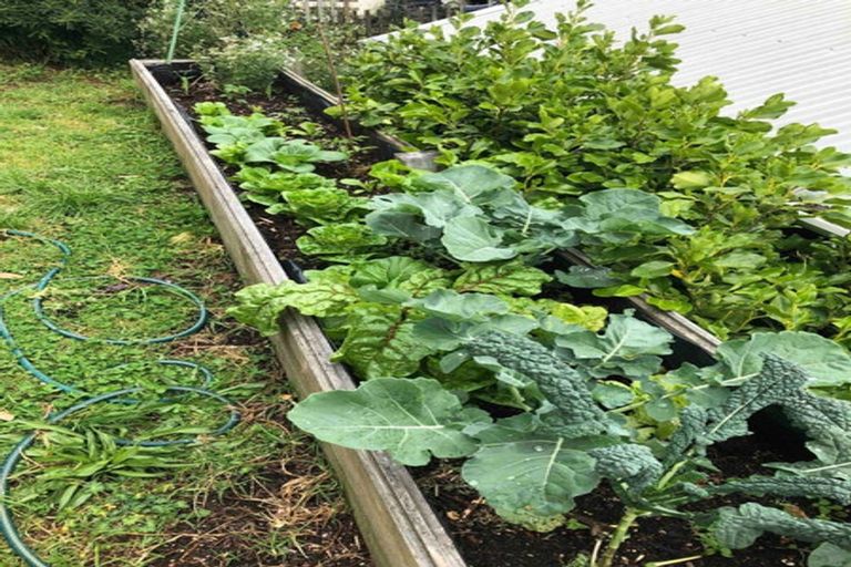 Photo of property in 38 The Parade, Paekakariki, 5034