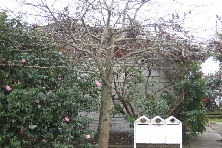 Photo of property in 5c Wilton Street, Levin, 5510