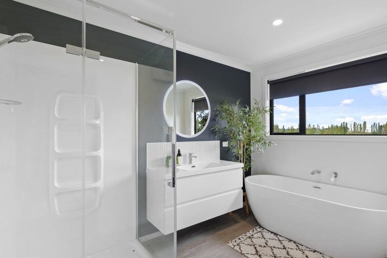 Photo of property in 31b Ashbury Drive, Tinwald, 7774