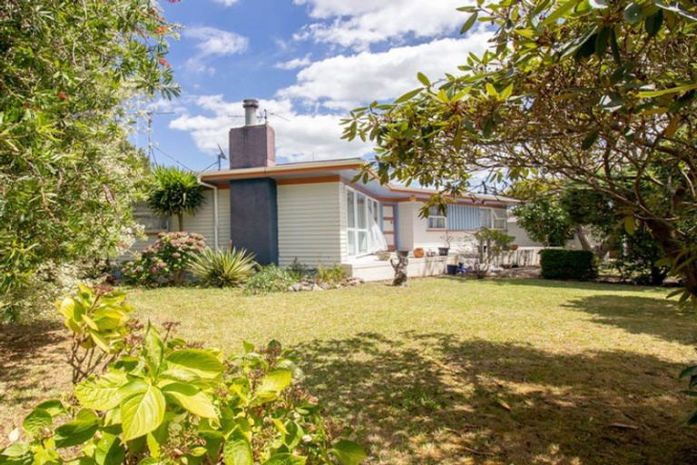 Photo of property in 31 Shaw Avenue, Paeroa, 3600