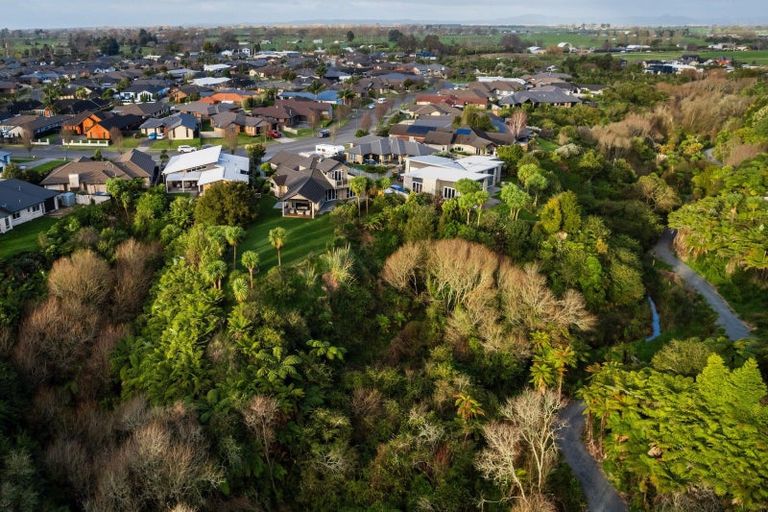 Photo of property in 142 Saint James Drive, Huntington, Hamilton, 3210