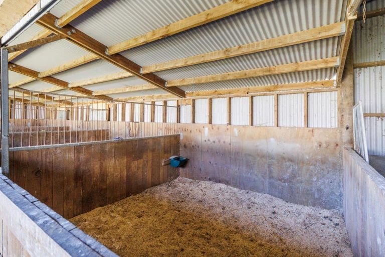 Photo of property in 237 Ngaio Road, Halcombe, Palmerston North, 4479