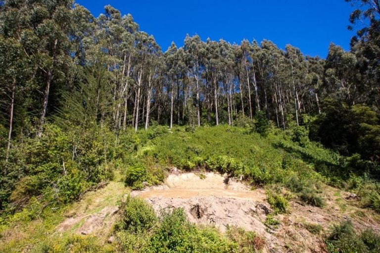 Photo of property in 533 Mount Cargill Road, Mount Cargill, Waitati, 9085