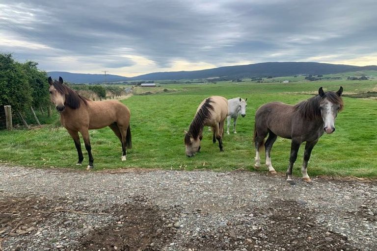 Photo of property in 95 Frentz Road, Pahia, Riverton, 9881