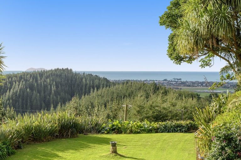 Photo of property in 251 Reid Road, Papamoa, Te Puke, 3187