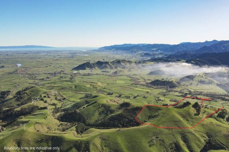 Photo of property in 246b Maratoto Road, Hikutaia, 3674