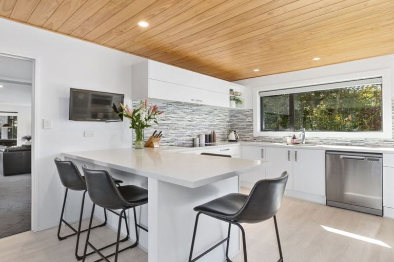 Photo of property in 215 Bay View Road, Saint Clair, Dunedin, 9012