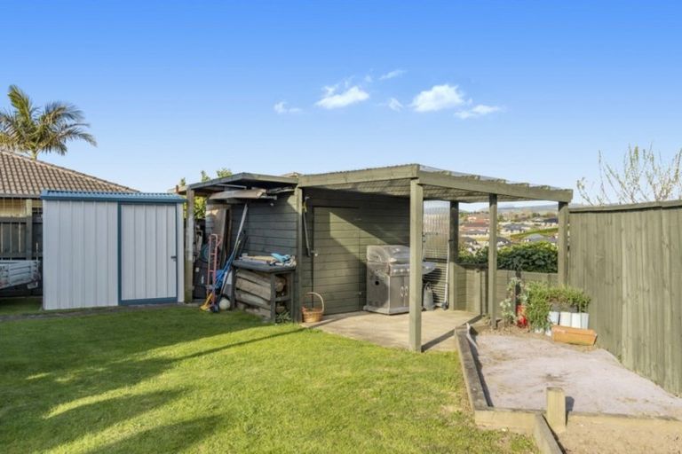 Photo of property in 38 Mahonia Place, Pyes Pa, Tauranga, 3112