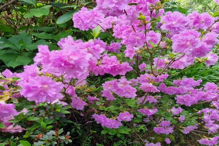 Photo of property in 4003 State Highway 4, Ongarue, 3997