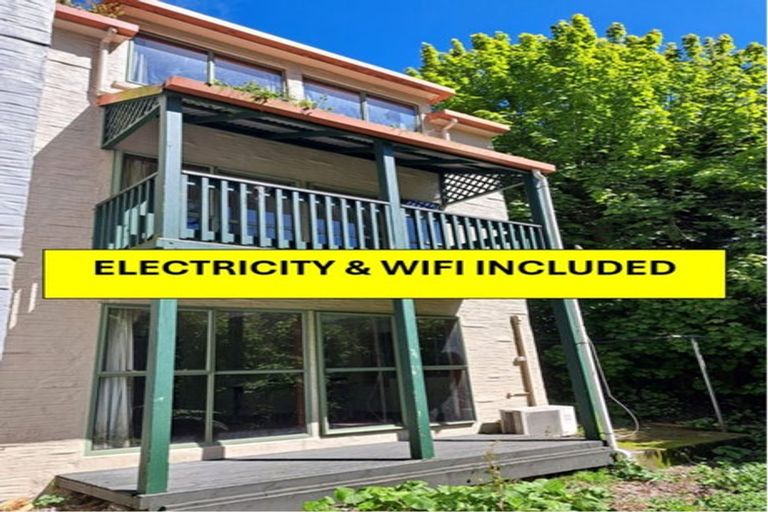 Photo of property in 63 Opoho Road, North East Valley, Dunedin, 9010