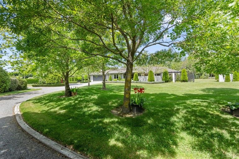 Photo of property in 256 O'roarkes Road, Fernside, Rangiora, 7471