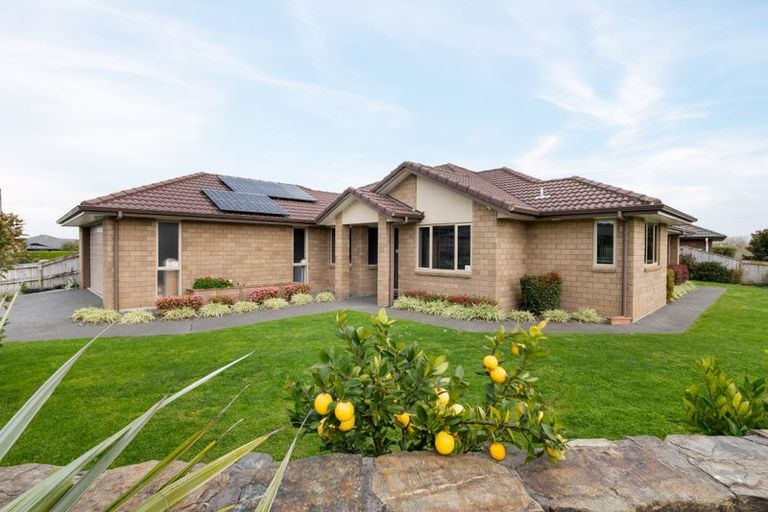 Photo of property in 21 Hartford Terrace, Huntington, Hamilton, 3210