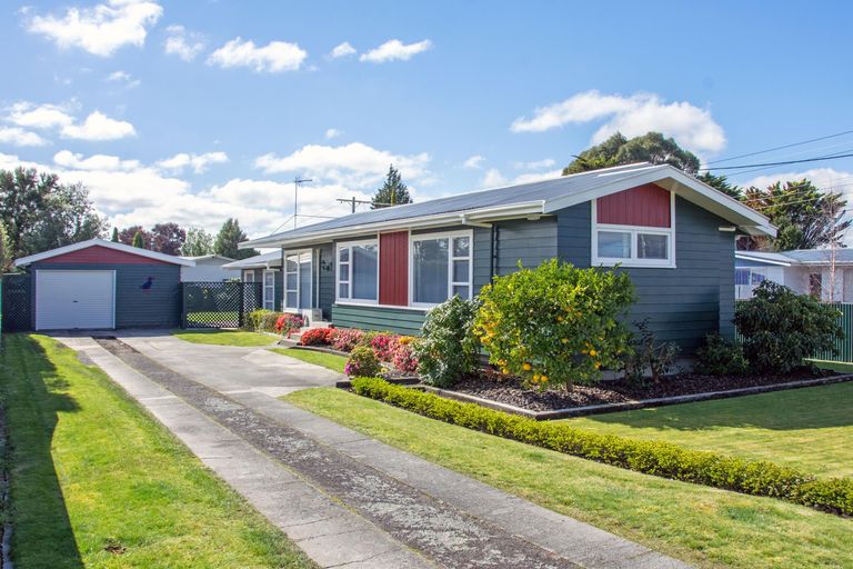 Photo of property in 133 Cockburn Street, Kuripuni, Masterton, 5810